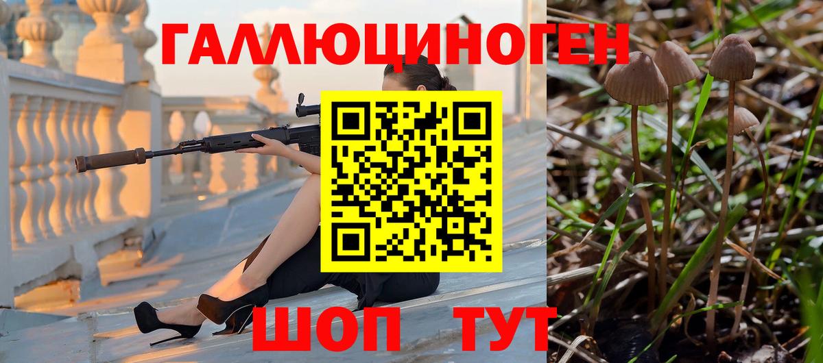 Псилоцибиновые грибы GOLDEN TEACHER Десногорск