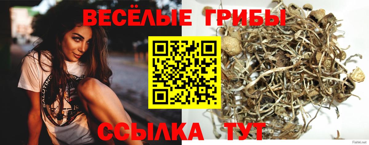 Десногорск  Псилоцибиновые грибы прущие грибы  Вход с VPN 